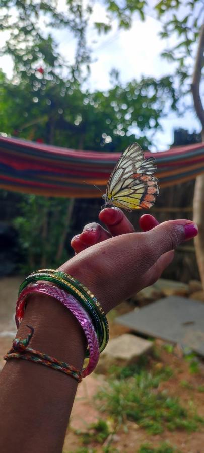Hearthspace Hampi - Small Home, A Low-Impact Backpackers Hostel Esterno foto